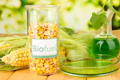 Catherine De Barnes biofuel availability